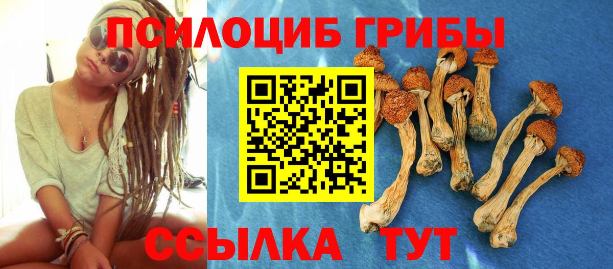 Галлюциногенные грибы Magic Shrooms Кизилюрт